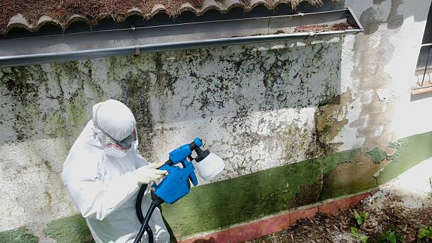 Trusted Mold Removal service in Tucker, GA - Cheap Mold Removal